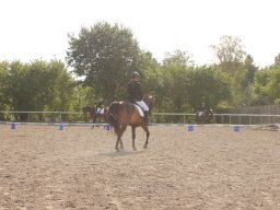 img_7335_web